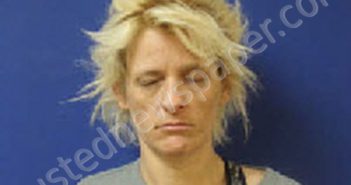 <B>TAYLOR</B>, <B>JESSICA</B> <B>LYNN</B> #, Sampson County, North Carolina - 2025-02-26 22:53:00