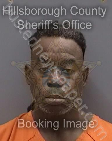 MATHIS,AMOUNDO TERENCE #, Hillsborough County, Florida - 2025-02-27 16:16:00