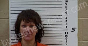 WHITENER, COURTNEY MARLANA | 2025-02-27 12:25:00 Cherokee County, North Carolina Booking