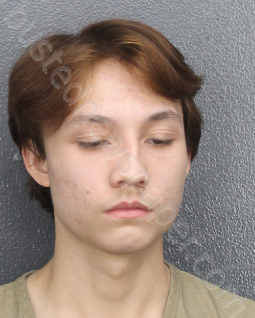 BROZOWSKI, BRAYDEN ANTHONY #, Broward County, Florida - 2025-02-27