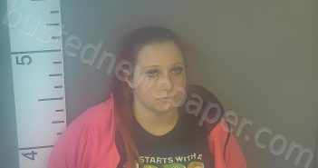 DAVIDSON, <B>DANIELLE</B> <B>MARIE</B> #, <b>Nelson</b> County, Kentucky, Nelson County, Kentucky - 2025-02-28 11:43:00