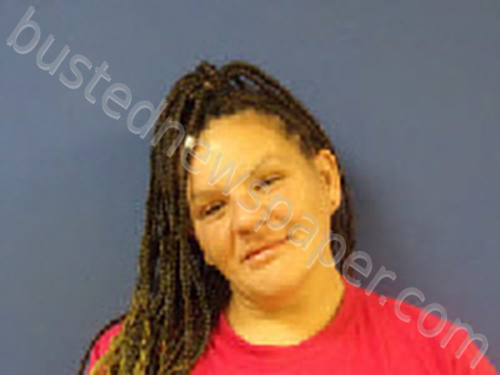 JACOBS, BRANDY NICOLE #, Sampson County, North Carolina - 2025-02-28 17:42:00