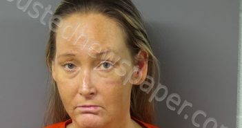 HANSON, ALEXIS DANIELLE | 2025-02-28 16:23:24 Fayette County, Ohio Booking