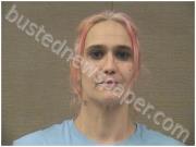 WALLACE, CRYSTAL | 2025-02-28 Harnett County, North Carolina Booking