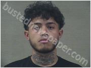 SEVILLA-PINTO, CESAR | 2025-03-01 Harnett County, North Carolina Booking