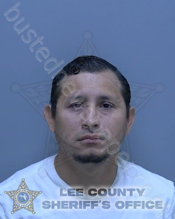 SANCHEZ VALENCIA, ABEL FERNANDO #, Lee County, Florida - 2025-03-01 11:46:00