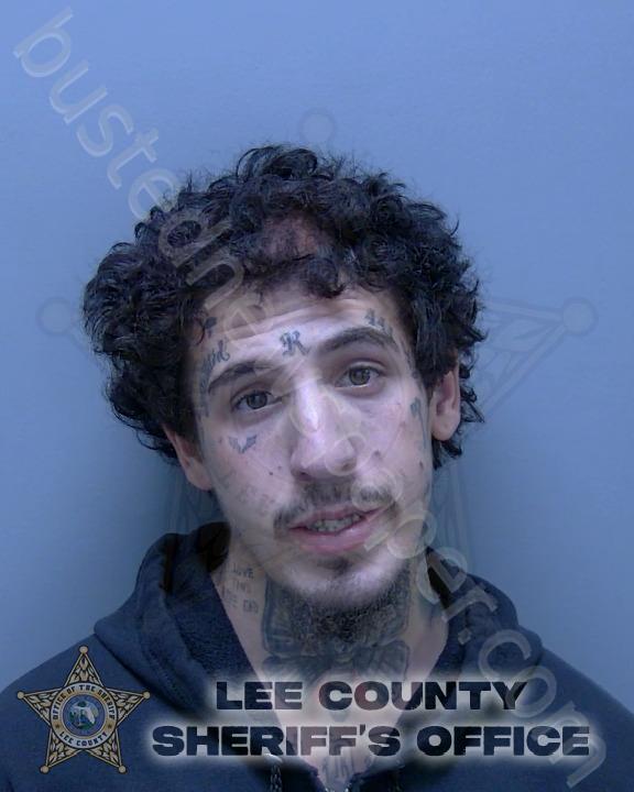 BRITO TORRES, ROBERTO #, Lee County, Florida - 2025-03-01 12:15:00