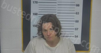 CONLEY, COURTNEY LYNN | 2025-03-01 19:09:00 Ottawa County, Ohio Booking