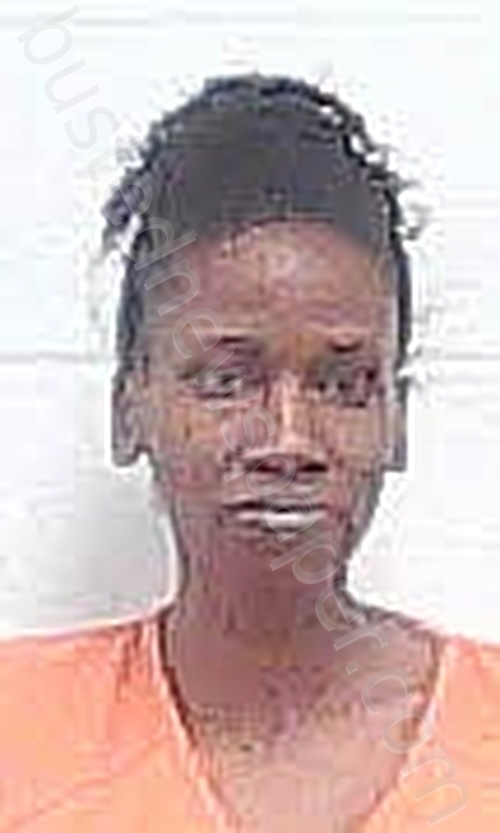 TURNER, TIFFANY NICOLE #, Haywood County, Tennessee - 2025-03-01 13:00:00
