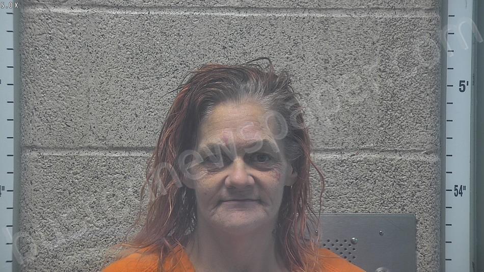 NASBITT, AMY LYNN #, Henderson County, Kentucky - 2025-03-02 01:12:00