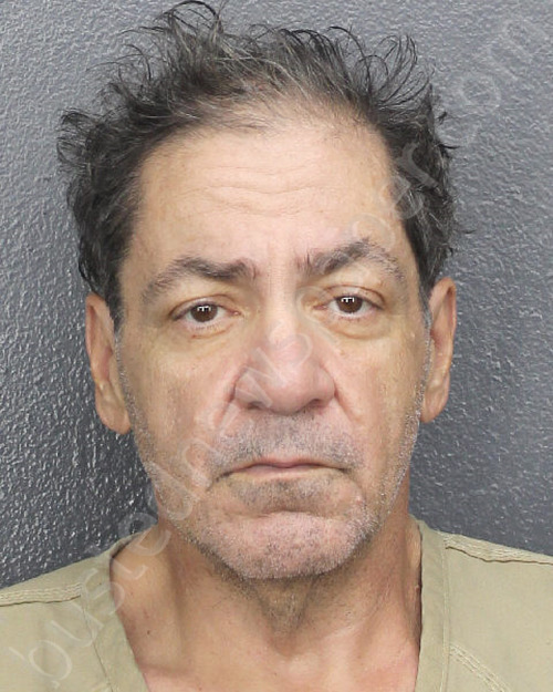 DE SIMONE, ANTHONY A #, Broward County, Florida - 2025-03-02