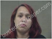 HOWELL, DONNA | 2025-03-02 Harnett County, North Carolina Booking