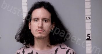DAVID, RICARDO ANTONIO | 2025-03-03 21:48:00 Gratiot County, Michigan Booking