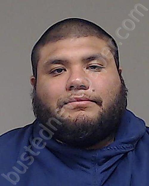 FRANCO-ALVARADO, RAUL ANGEL #, Collin County, Texas - 2025-03-04 11:30:00