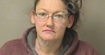 SHEARS, TINA LOUISE | 2025-03-04 18:00:00 Wood County, West Virginia Booking