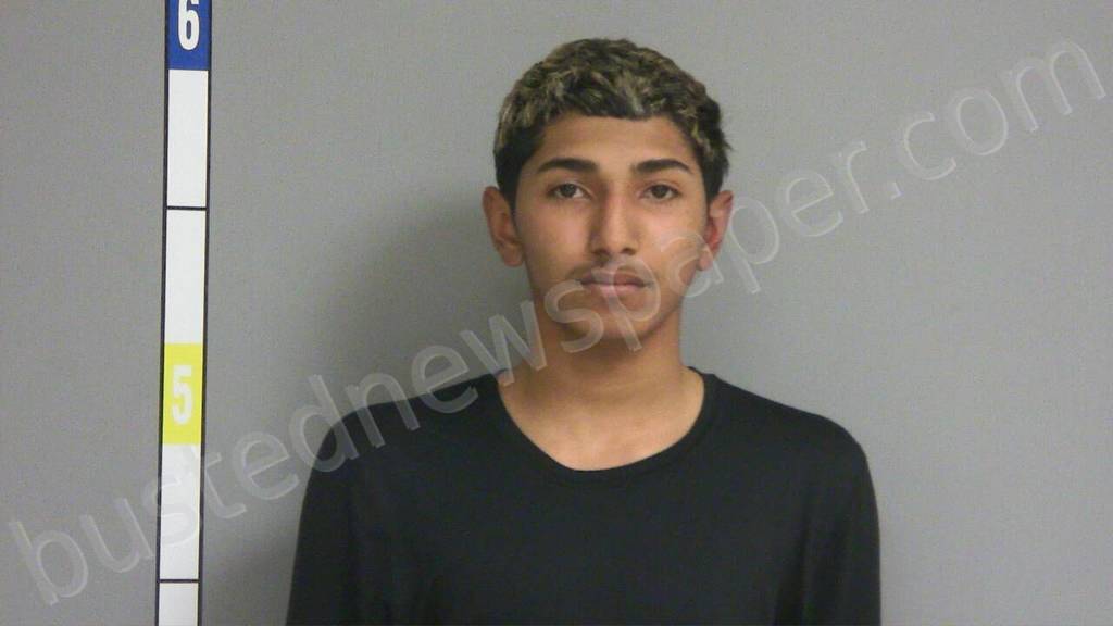 NIEVES CARRILLO, AARON A #, Lasalle County, Illinois - 2025-03-04 01:44:00