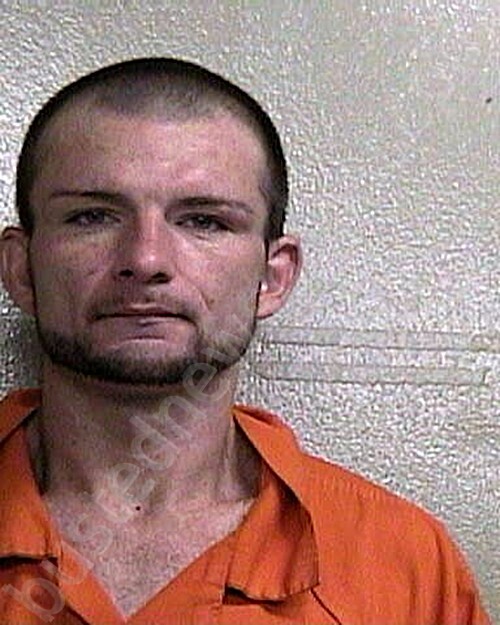 ADAMS, ASHLEY GAGE #, Taylor County, Florida - 2025-03-04 11:13:00
