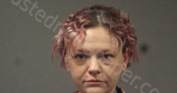 <B>LOGAN</B>, <B>MELISSA</B> <B>DIANE</B> #, Randolph County, Missouri - 2025-03-05 07:29:00