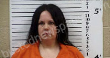 BRUCE, ASHLEY MICHELE | 2025-03-05 18:41:00 Cherokee County, North Carolina Booking