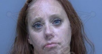 CHATTELLE, NICOLE MARIE | 2025-03-06 08:14:20 Lee County, Florida Booking