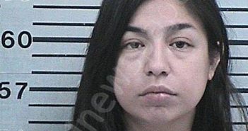 GARCIA, ISABEL JENNIFER | 2025-03-07 16:56:23 Hood County, Texas Booking