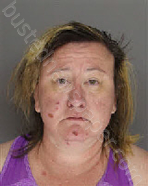 Hume, Jamie Lynn 20250307 204000 Moore County, North Carolina Booking