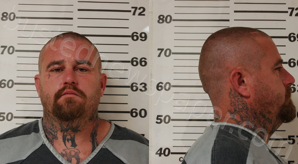 MATTHEWS, JUSTIN DEWAYNE #, Henderson County, Texas - 2025-03-08