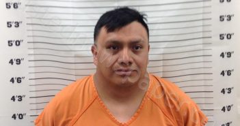 SIGUANTAY- PEREZ, MARLYN | 2025-03-08 17:14:00 Pickens County, Georgia Booking