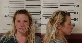 <B>GAITHER</B>, <B>TERESA</B> <B>ANN</B> #, Henderson County, Texas - 2025-03-08