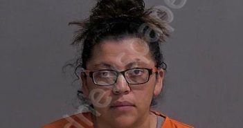 DIAZ, CLAUDIA | 2025-03-09 Sandusky County, Ohio Booking