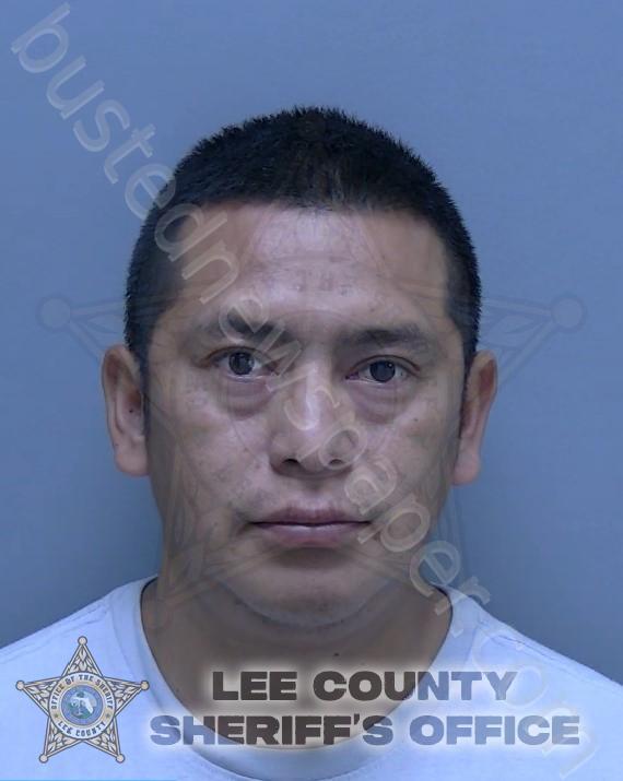 VENTURA IXCHACCHAL, WALTER GUSTAVO #, Lee County, Florida - 2025-03-09 00:07:00