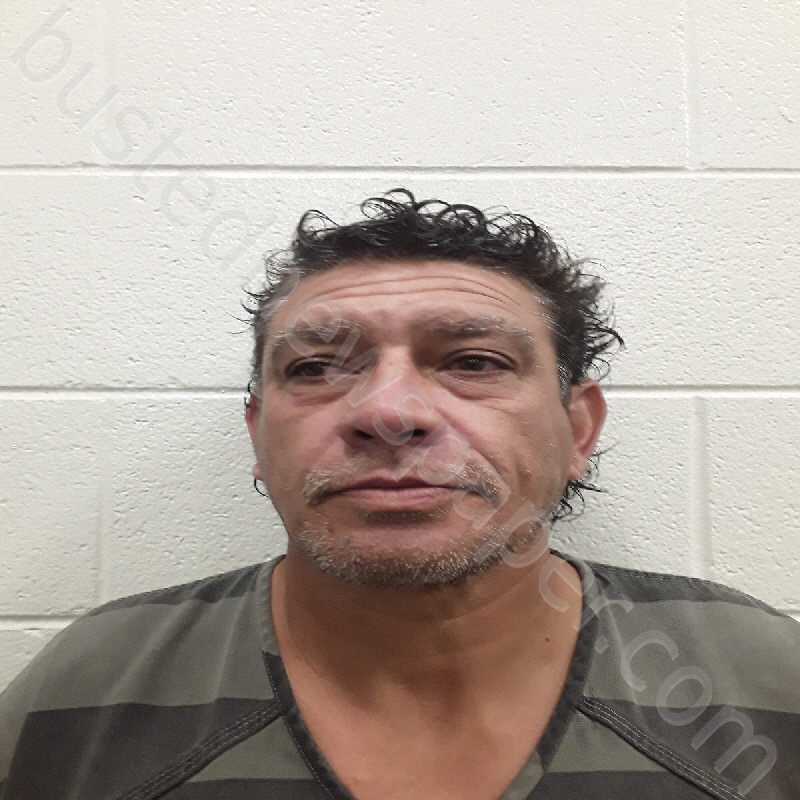 LIZARDI, JUAN MANUEL #, Monroe County, Tennessee - 2025-03-10 08:19:00