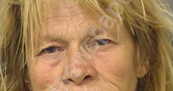 <B>JOHNSON</B>, <B>SUSAN</B> <B>LYNN</B> #, Palm Beach County, Florida - 2025-03-10 21:54:00