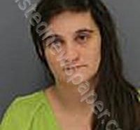 PURCELL, BREELYNN MIRANDA | 2025-03-10 Medina County, Ohio Booking