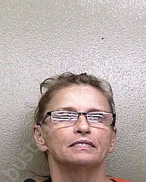 GILLESPIE, DENA GAIL #, Taylor County, Florida - 2025-03-11 09:11:00