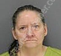 YANKE, DIANE LOUISE | 2025-03-11 Medina County, Ohio Booking