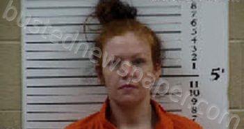 PHILLIPS, SHANNON NICOLE | 2025-03-11 08:19:00 Cherokee County, North Carolina Booking