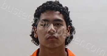 RODRIGUEZ BERMUDEZ CARLOS ANDRES | 2025-03-12 Cameron County, Texas Booking