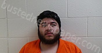 RODRIGUEZ ELOY EMMANUEL | 2025-03-12 Cameron County, Texas Booking