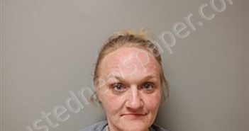 BOLIN, AMANDA LEE | 2025-03-12 02:08:00 Craighead County, Arkansas Booking