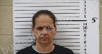 SNEED, TIFFANY CHIFFON | 2025-03-12 23:45:00 Cherokee County, North Carolina Booking
