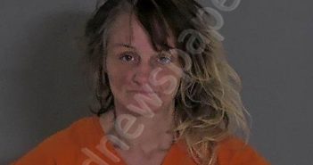 JOHNSON, ALICIA N | 2025-03-14 Sandusky County, Ohio Booking