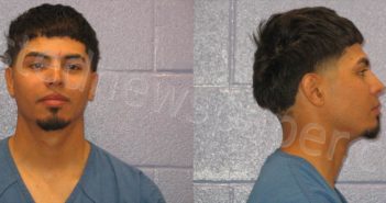 BUENO, MASSIEL, JR | 2025-03-15 Andrews County, Texas Booking