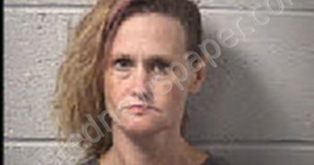 PATTERSON, APRIL MICHELLE | 2025-03-15 05:25:00 Transylvania County, North Carolina Booking