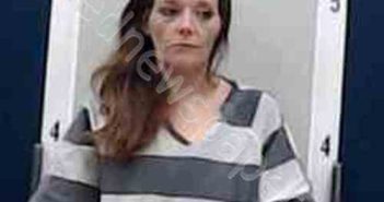 CHASITY MEADOWS | 2025-03-16 02:52:00 Dekalb County, Alabama Booking