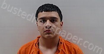 ARISPE ISAAC ANTHONY | 2025-03-16 Cameron County, Texas Booking