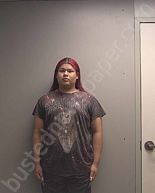 ZUNIGA-ARAUGO, JOSE BONIFACIO #, Harris County, Texas - 2025-03-17 16:44:00