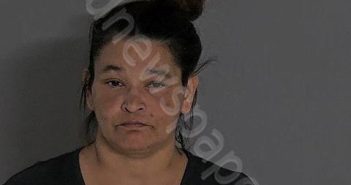 SANCHEZ, ESPERANZA C | 2025-03-17 Sandusky County, Ohio Booking