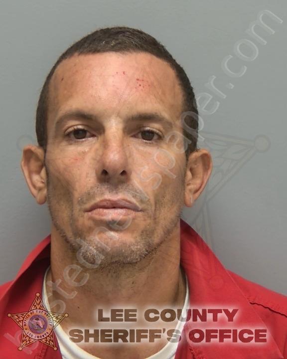 PADRON MARTINEZ, RAYDEL JORGE #, Lee County, Florida - 2025-03-17 08:10:00