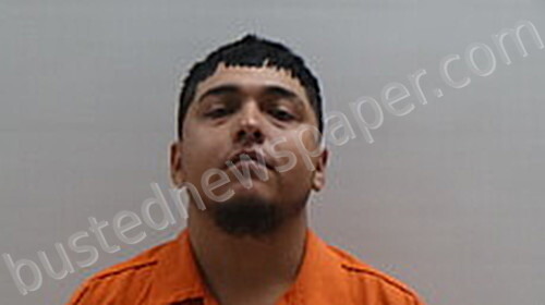 ALVAREZ CASTILLO JESUS EMMANUEL #, Cameron County, Texas - 2025-03-17